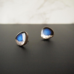 ころりん美濃焼ピアス / イヤリング 2枚目の画像