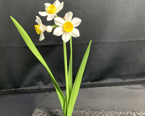 専用です。クレイフラワー 𝗰𝗹𝗮𝘆 𝗮𝗿𝘁𝗶𝘀𝘁 𝕔𝕝𝕒𝕪 𝕤𝕥𝕦𝕕𝕚𝕠 𝕗𝕦𝕨𝕒𝕝𝕒