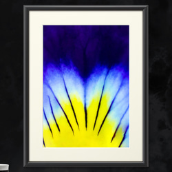 色鮮やかなグラデーションが神秘的で美しい花の細胞模様 スクエア型スマホケース【強化ガラス仕上げ】 11枚目の画像