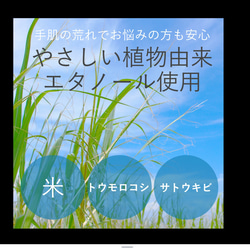 ママの木 ⚪︎天然100%⚪︎芳香浴Maskスプレー◎ADHDやASDのお子様をお持ちのママのリフレッシュ♡抗菌30ml 3枚目の画像