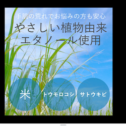 ママの木　天然100%マスクスプレー⚪︎授乳中の方◎子育て◎家事◎仕事◎爽や香＆穏や香♡抗菌○2種類○２本組♡30ml 4枚目の画像