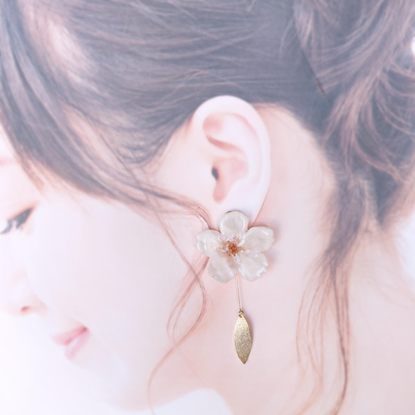 【受注制作】Everpink Sakura. 本物のお花　桜とゴールドリーフの揺れスタッドピアス　プリザーブドフラワー 4枚目の画像