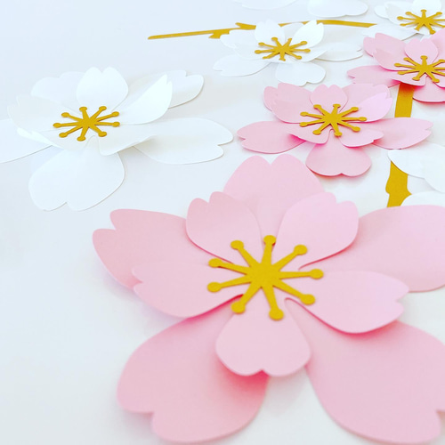 再販 送料無料 合格祝い おめでとう 卒業式 卒園式 桜 ウォール