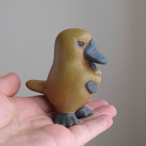 憤怒的鴨嘴獸 第6張的照片