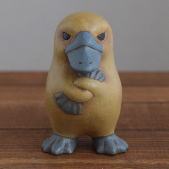 憤怒的鴨嘴獸 第1張的照片