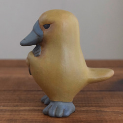 憤怒的鴨嘴獸 第4張的照片