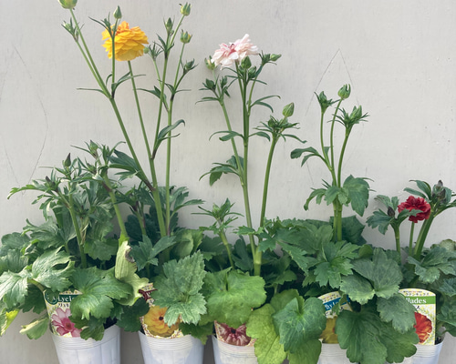 7c78a2f1575dbb4f60a127bdbdd7f0