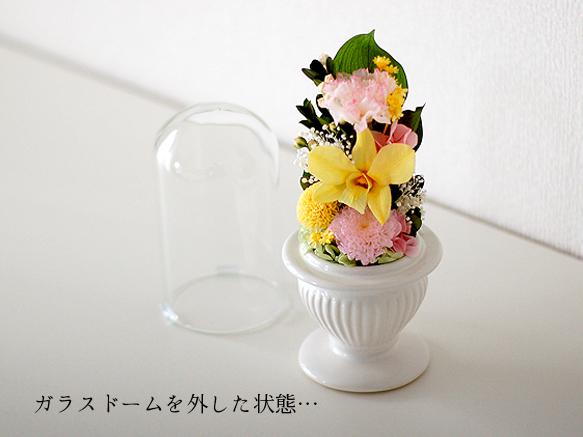 【仏花】再販2＊ガラスドームの黄色＆ピンク供花【供花】 4枚目の画像