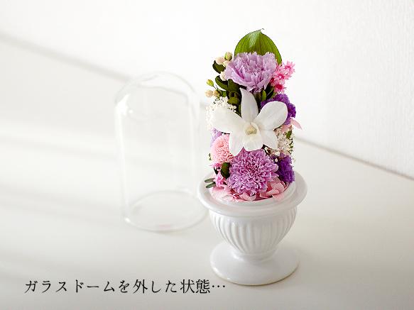 【仏花】再販3＊ガラスドームのパープル＆ピンク供花【供花】 4枚目の画像
