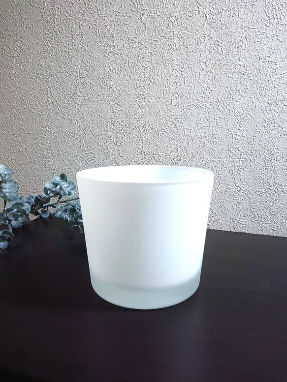 ”サンスベリア・ローレンティ　北欧製　しっかりとした重さのガラス鉢カバーMセット/ホワイト”　サンセベリア　観葉植物 12枚目の画像