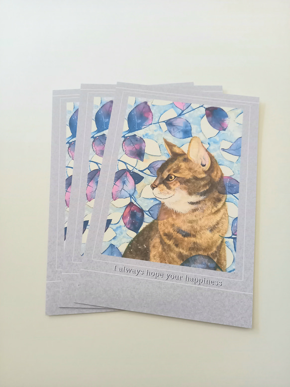 ポストカード：「青葉と猫」3枚入：送料無料【PC01】 2枚目の画像