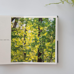 ミニフォトブック ☆ たびりすのあしあと 2021 Spring〜Summer 写真集 葉っぱ 緑 北海道 3枚目の画像