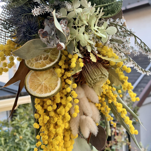 ドライフラワー✩.*˚ミモザとドライアンドラのスワッグ スワッグ は