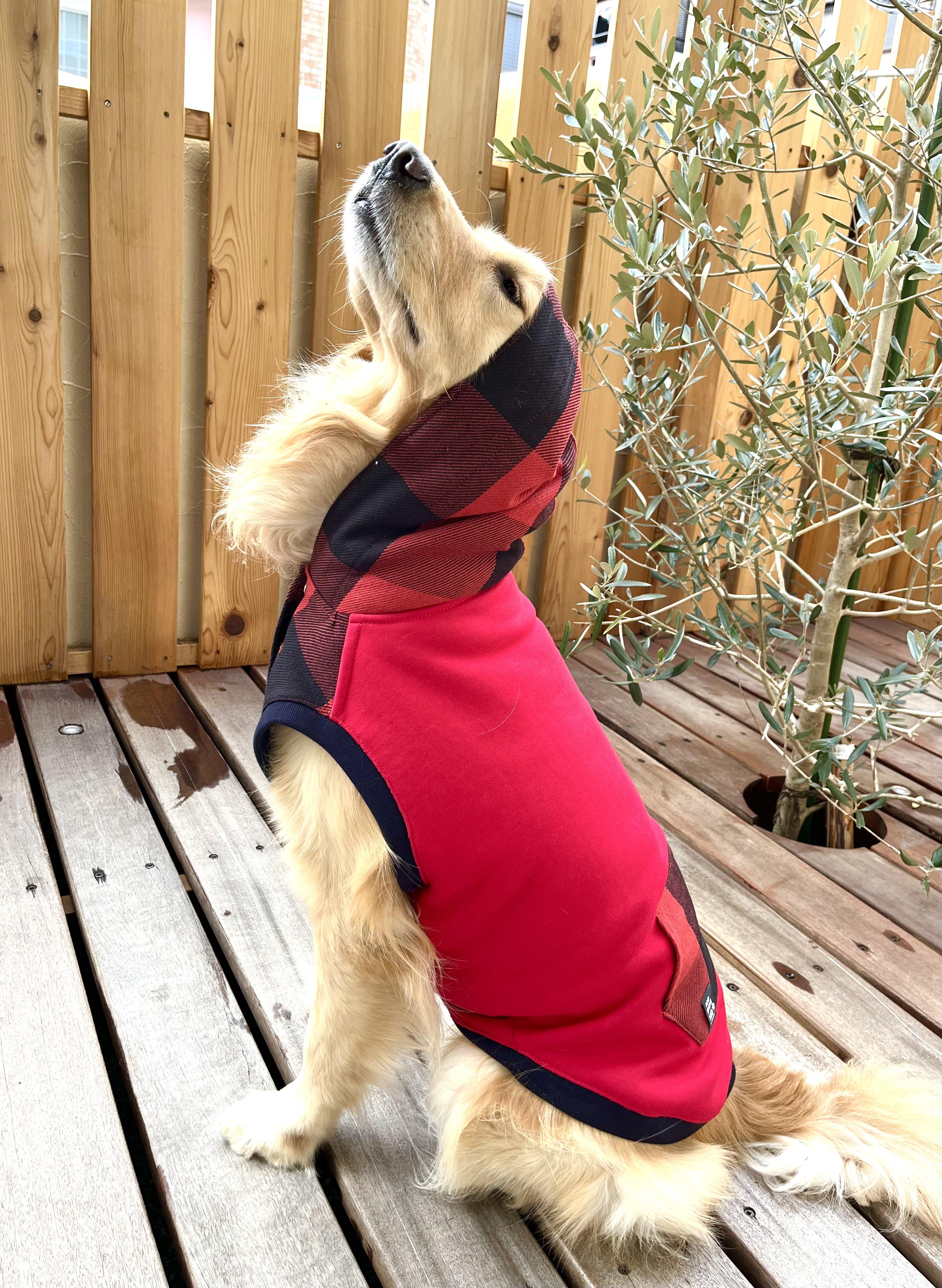 わんこ服❤️真っ赤なスウェットとブロックチェックのフーディ　大型犬用