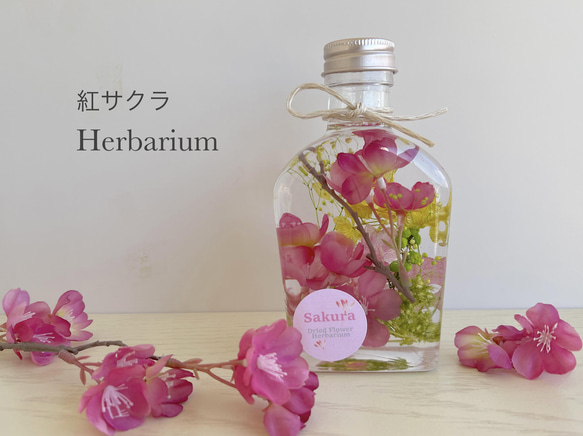 フラワーハーバリウム　4種　桜の花びら♬　 1枚目の画像
