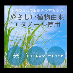 ママの木 ⚪︎天然100%⚪︎芳香浴Maskスプレー◎産後育児クライシス◎授乳中◎育児◎穏や香♡抗菌♡30ml 3枚目の画像