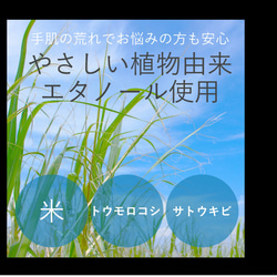 ママの木 ⚪︎天然100%⚪︎芳香浴Maskスプレー◎産後育児クライシス◎授乳中◎育児◎爽や香♡抗菌30ml 3枚目の画像