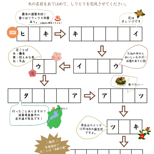 1枚あたり58円】香る！脳トレプリント4種×30枚（計120枚