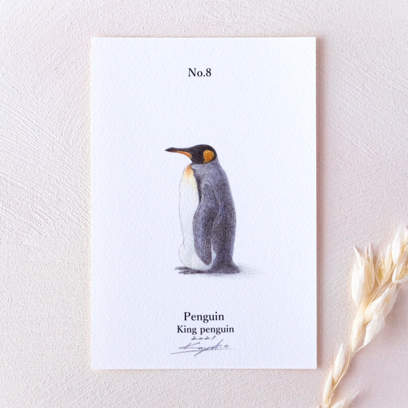 【手描き】　彩色 鉛筆画　No.8  Penguin  King penguin　《額装》 3枚目の画像