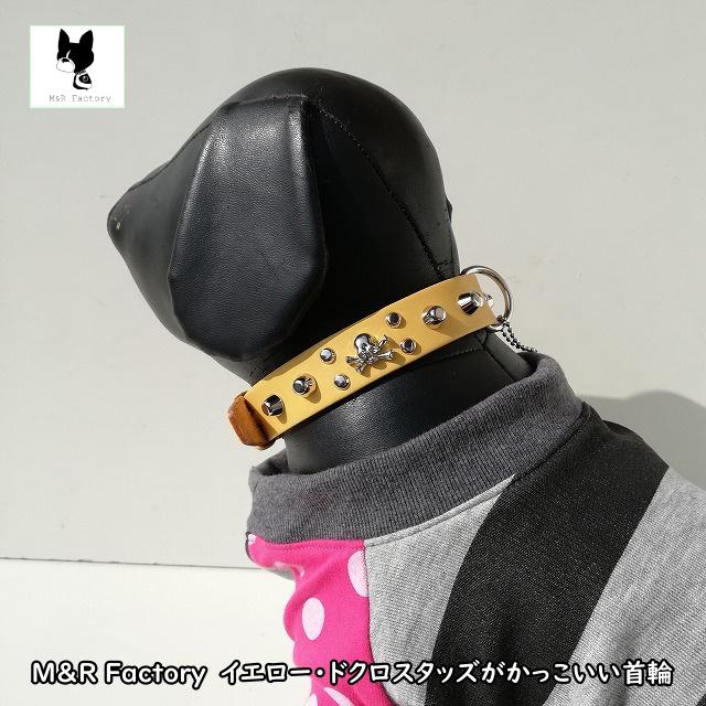 ロック・パンクな首輪・革首輪　M&R Factory0104【ボストンテリア】【フレンチブルドッグ】【パグ】