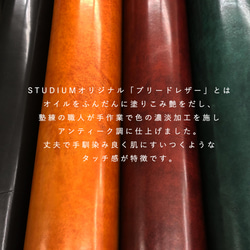 [送料無料]小さくても驚きの使い勝手と収納力！便利な見開きタテ持ち マイクロウォレットbleed/ ダークグリーン 16枚目の画像