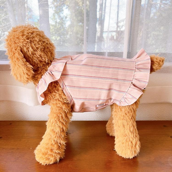 犬服　ストライプワンピース　ピンク 6枚目の画像