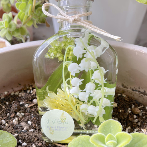 フラワー業界に革命を起こした植物標本（ハーバリウム）の