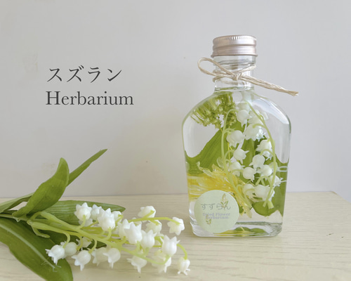 errer 白い小さな花束 パンパスグラス 標本 ハーバリュウム 植物標本
