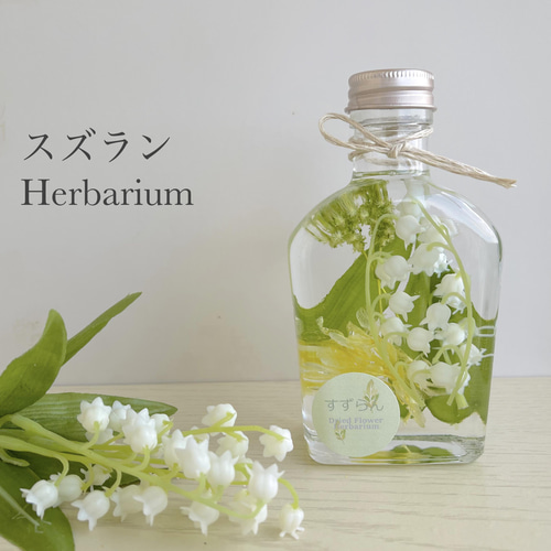 errer 白い小さな花束 パンパスグラス 標本 ハーバリュウム 植物標本 errer 白い小さな花束 パンパスグラス 標本 ハーバリュウム 植物