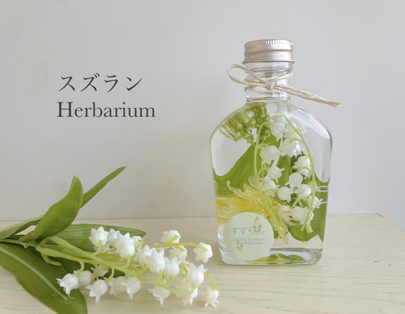 フラワー業界に革命を起こした植物標本（ハーバリウム）の