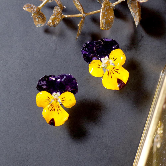 春ビオラ ピアス⁂ドライフラワー