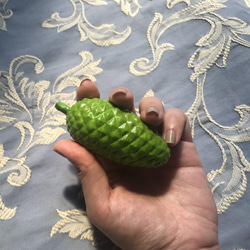 pinecone fresh green 7枚目の画像