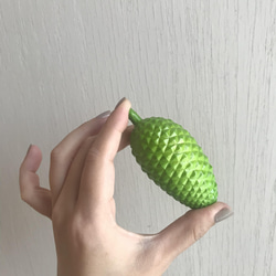 pinecone fresh green 1枚目の画像