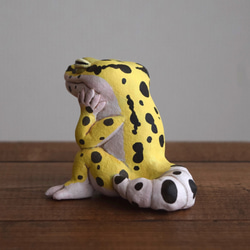 【訂做】打瞌睡Leopa 高黃 第9張的照片