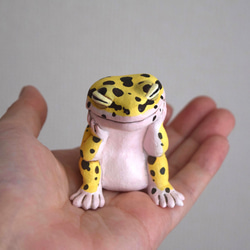 【訂做】打瞌睡Leopa 高黃 第10張的照片