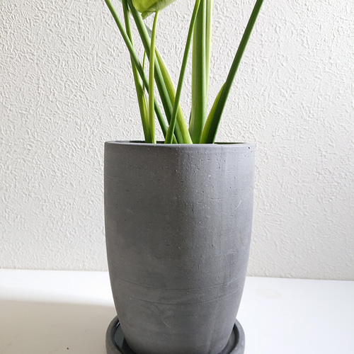 ○数量限定○新作○ ”モンステラ 鉢/受け皿セット（陶器製・グレーor