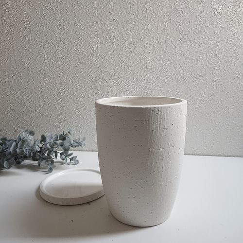 ソテツ 陶器鉢つき 2株セット❗ モンステラ 観葉植物