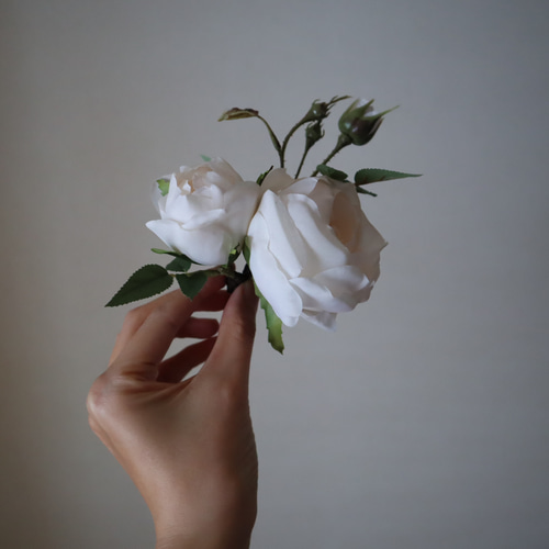 清らかさとモードを叶えるクリームホワイトローズのシングルブーケ