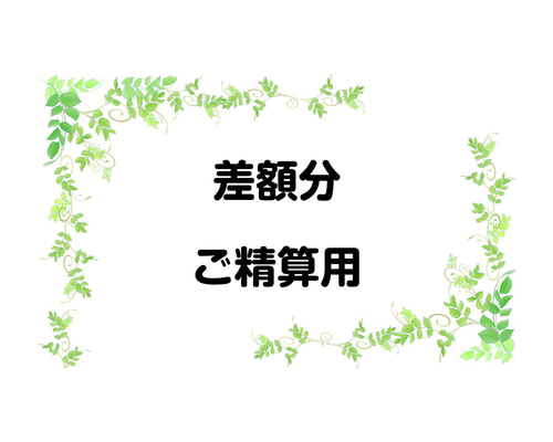 差額 ご精算用ページ その他素材 九条うさ子った - うさ工房 通販 