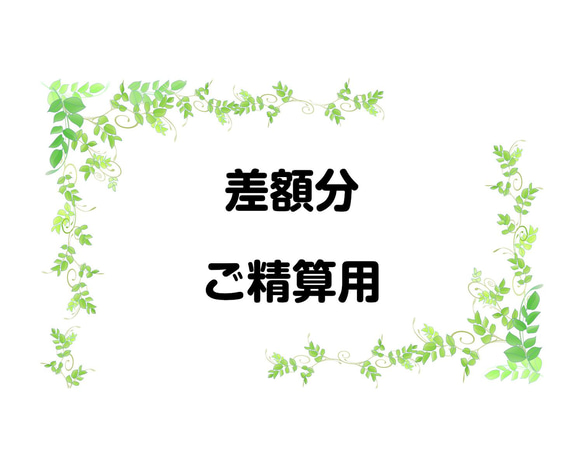 再開中】オーダー受付ページ （差額 ご精算用ページ その他素材 九条 