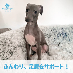 【癒しのソファ】犬用ベッド、猫用ベッド、犬用ソファー、犬用クッション、猫用ベッド、ペッドベッド 5枚目の画像