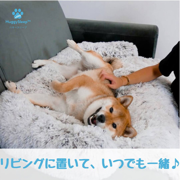 【癒しのソファ】犬用ベッド、猫用ベッド、犬用ソファー、犬用クッション、猫用ベッド、ペッドベッド 3枚目の画像