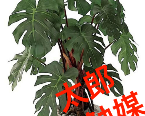 光触媒　人工観葉植物　ウォールグリーン　フェイクグリーン　モンステラ1.8m 光触媒 人工観葉植物 ウォールグリーン フェイク フラワー モンステラ