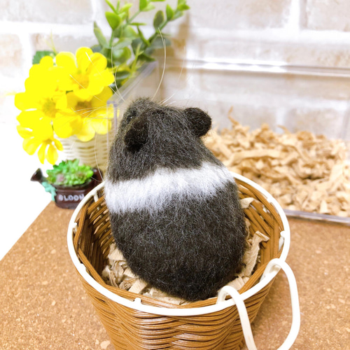 伏せポーズ *ブラックパイド*キャンベルハムスター<羊毛フェルト> 羊毛