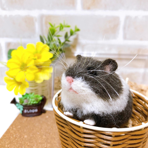 ♥️羊毛フェルト♥️ハムスターちゃん×4♪ インコちゃん・ハムスターちゃん用羊毛フェルト分骨入れ「こころん」