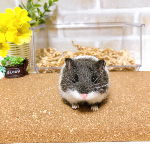 ♥️羊毛フェルト♥️ハムスターちゃん×4♪ ♥️羊毛フェルト♥️ハムスターちゃん×4♪