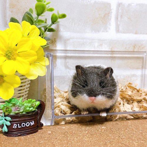 ハムスター　羊毛フェルト 赤目 イエローキャンベル ハムスター 羊毛フェルト 羊毛フェルト