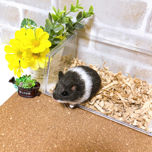 ♥️羊毛フェルト♥️ハムスターちゃん×4♪ ♥️羊毛フェルト♥️ハムスターちゃん×4♪