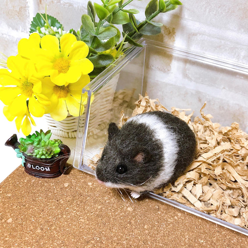 伏せポーズ *ブラックパイド*キャンベルハムスター<羊毛フェルト> 羊毛