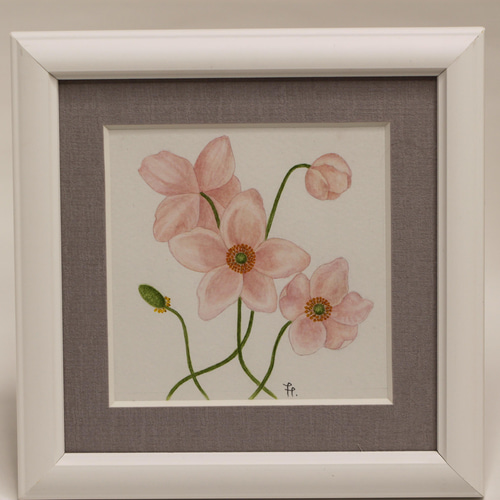 注目の福袋！ ボタニカルアート 額装 原画 Botanical 絵画 アネモネ 手書き 絵画